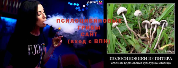 гашик Михайловск