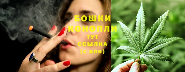 гашик Михайловск