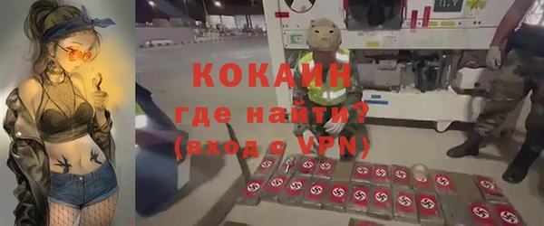 гашик Михайловск