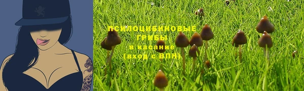 синтетический гашиш Михайлов