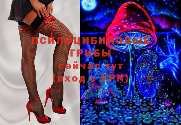 гашик Михайловск