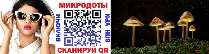 Галлюциногенные грибы Cubensis  blacksprut сайт  Сальск 